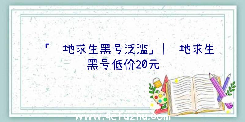 「绝地求生黑号泛滥」|绝地求生黑号低价20元